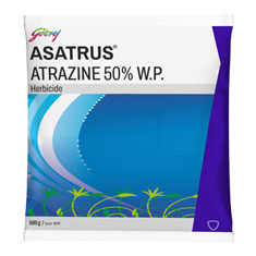 Plant Growth Regulators and Bio-Stimulants
