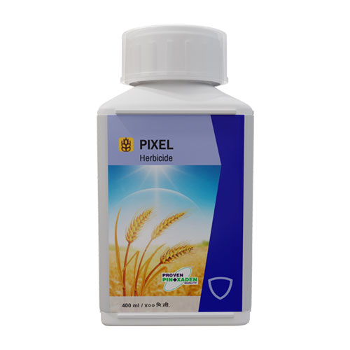 Plant Growth Regulators and Bio-Stimulants